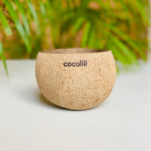Cargar imagen en el visor de la galería, Cocolili Set Family coco regalo natural 
